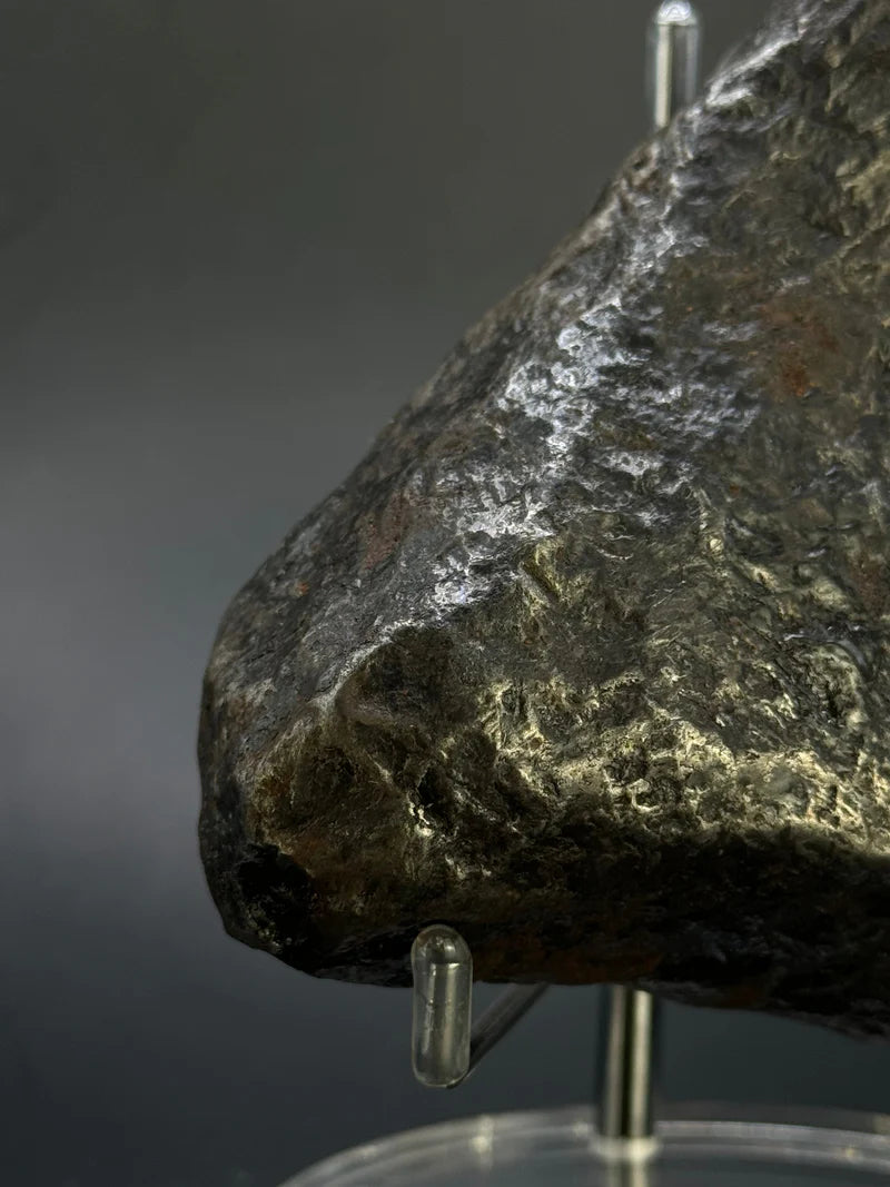 Muonionalusta Whole Meteorite – 1217g | Sweden