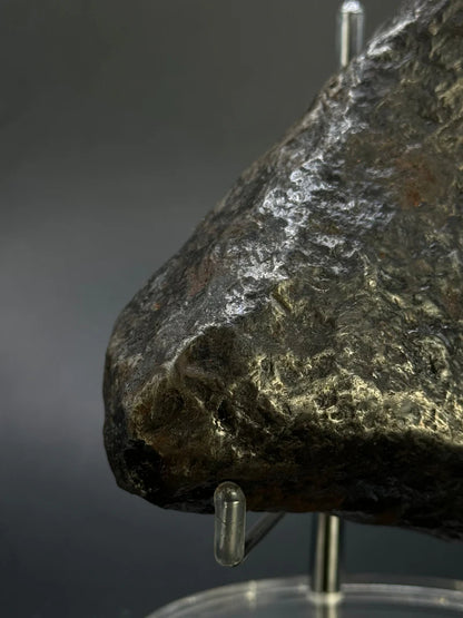 Muonionalusta Whole Meteorite – 1217g | Sweden