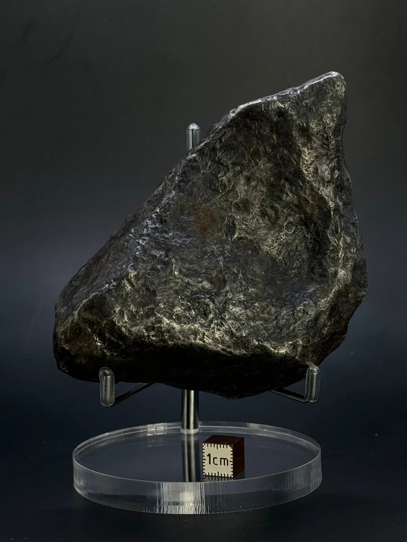 Muonionalusta Whole Meteorite – 1217g | Sweden