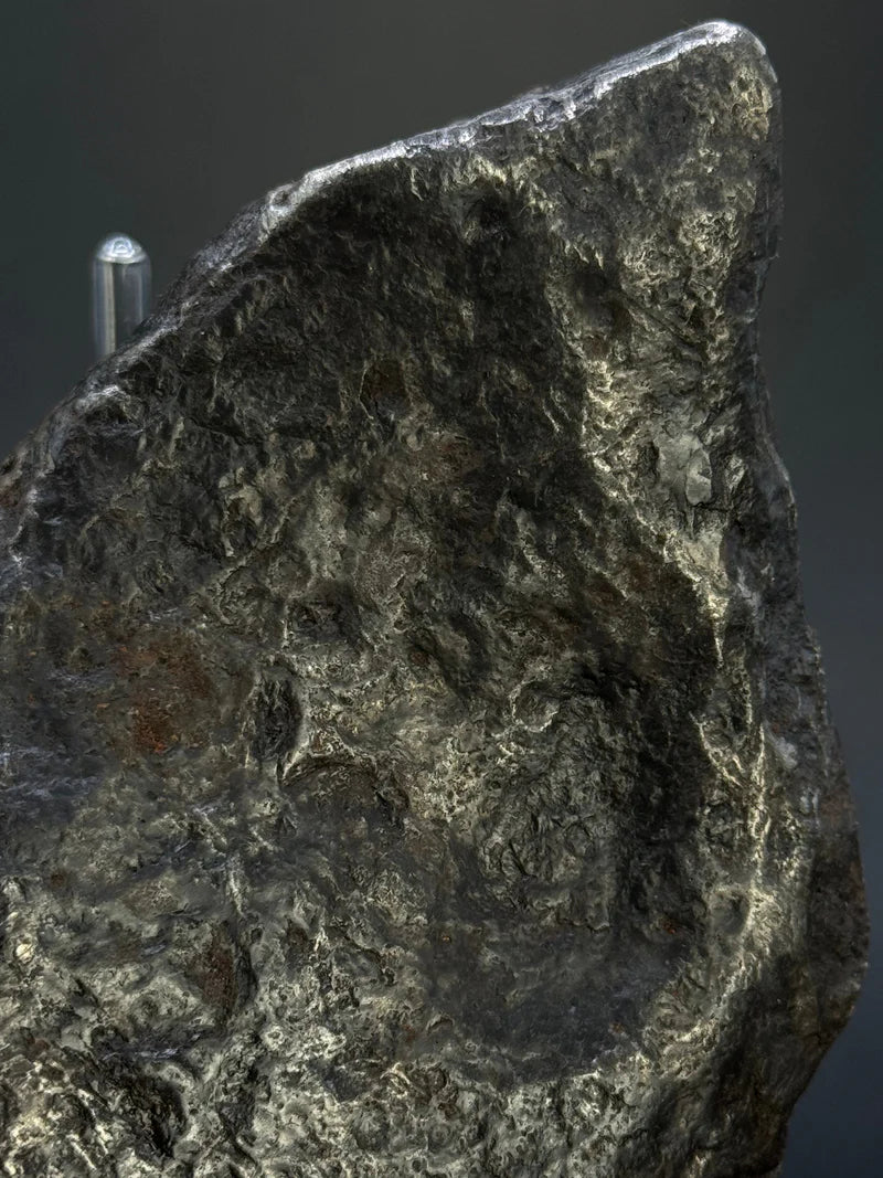 Muonionalusta Whole Meteorite – 1217g | Sweden