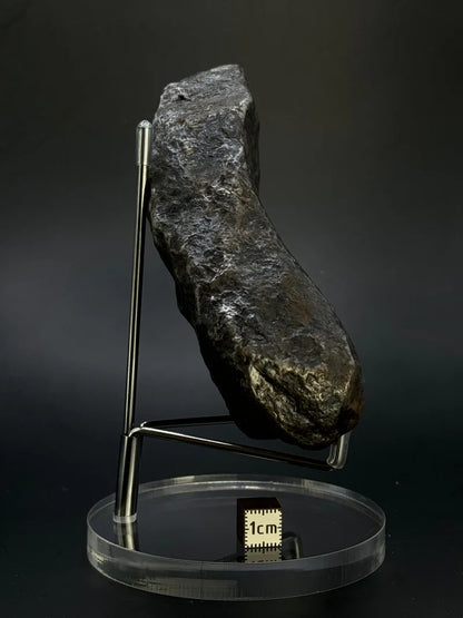 Muonionalusta Whole Meteorite – 1217g | Sweden