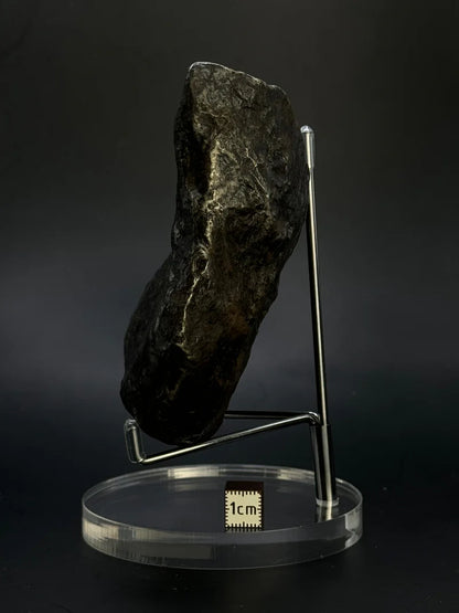 Muonionalusta Whole Meteorite – 1217g | Sweden
