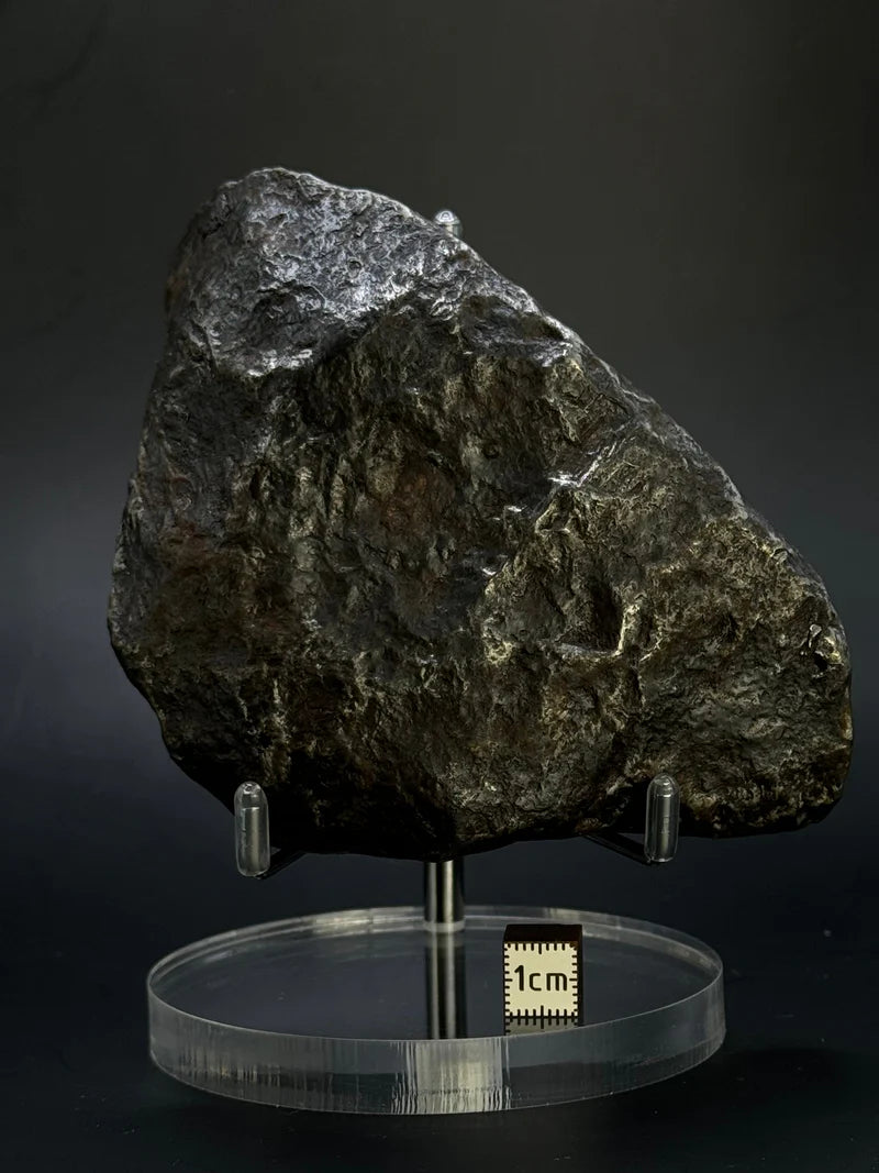 Muonionalusta Whole Meteorite – 1217g | Sweden