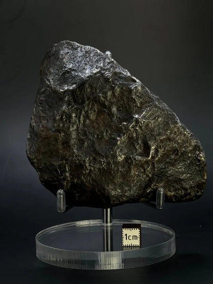 Muonionalusta Whole Meteorite – 1217g | Sweden