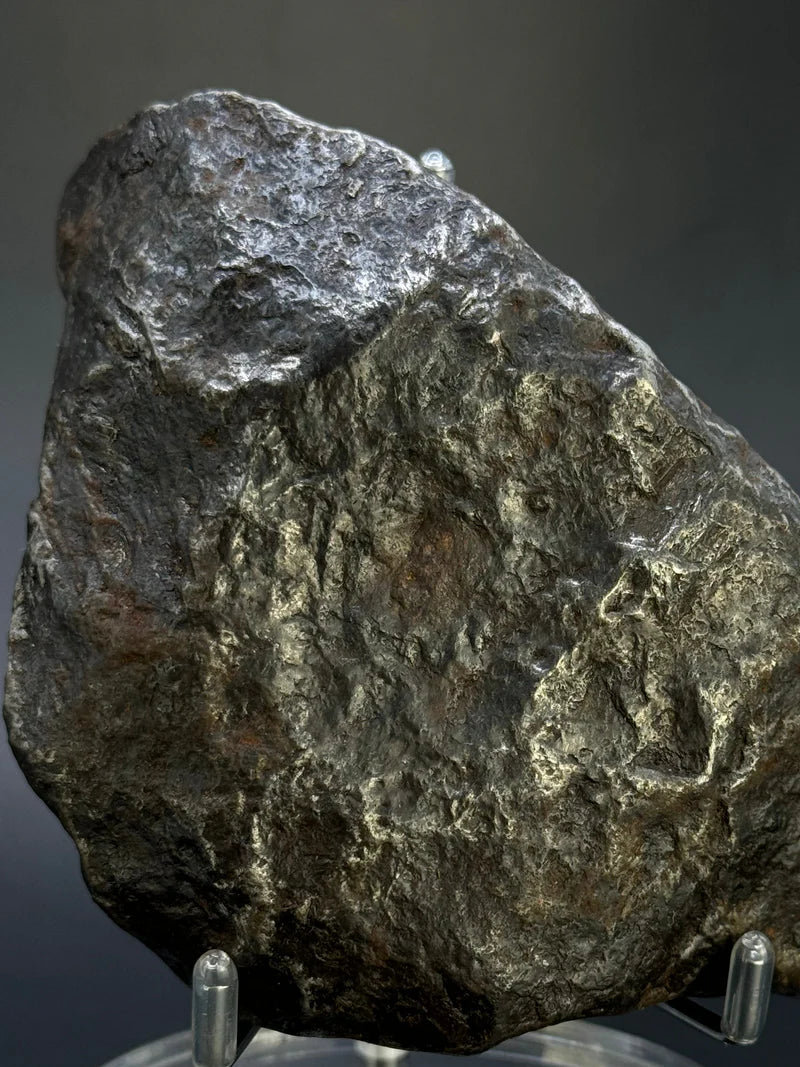Muonionalusta Whole Meteorite – 1217g | Sweden