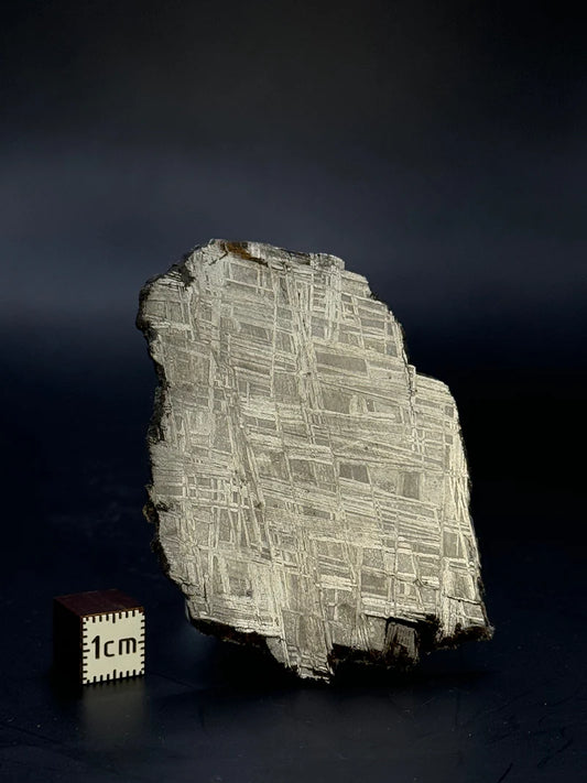 Muonionalusta Meteorite Specimen – 43.40g | Sweden