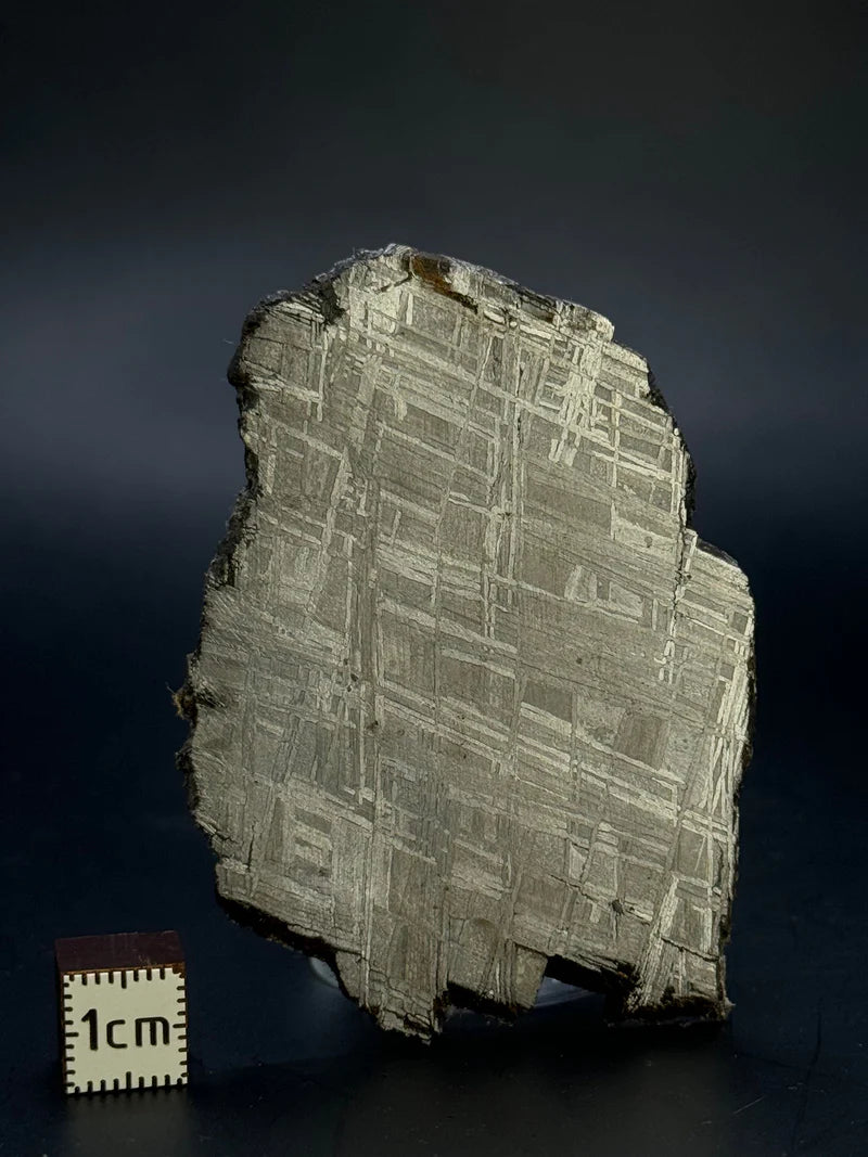 Muonionalusta Meteorite Specimen – 43.40g | Sweden