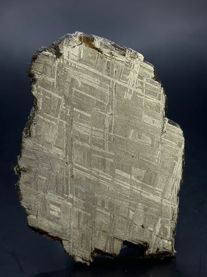 Muonionalusta Meteorite Specimen – 43.40g | Sweden