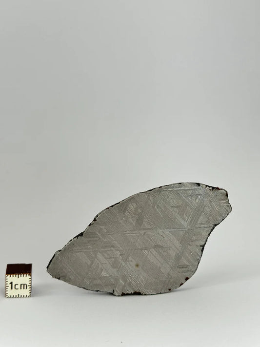 Muonionalusta Meteorite Slice – 69.83g | Sweden