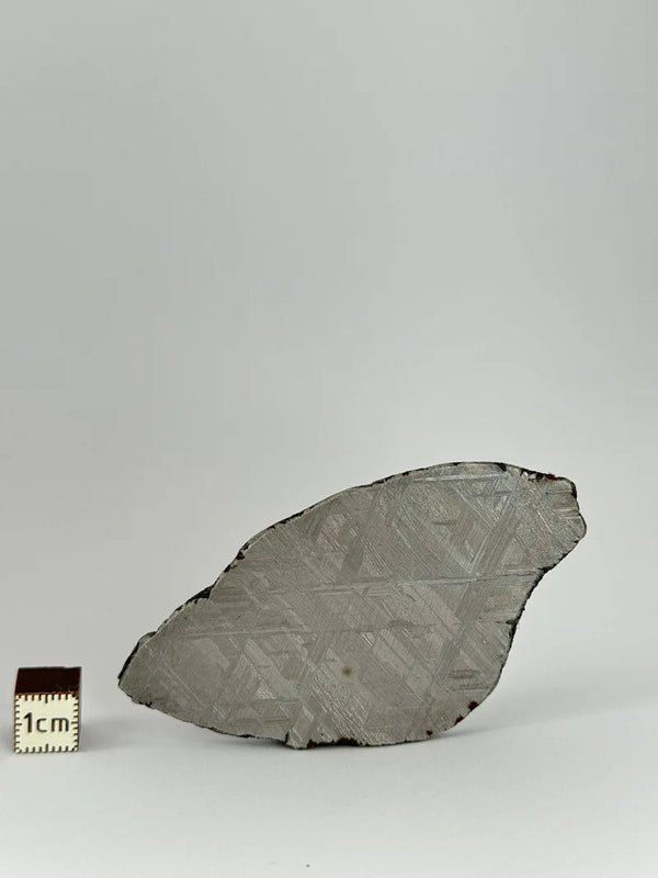 Muonionalusta Meteorite Slice – 69.83g | Sweden