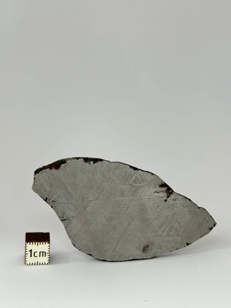 Muonionalusta Meteorite Slice – 69.83g | Sweden