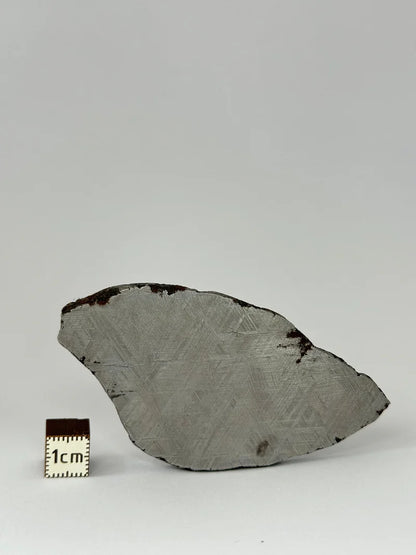 Muonionalusta Meteorite Slice – 69.83g | Sweden