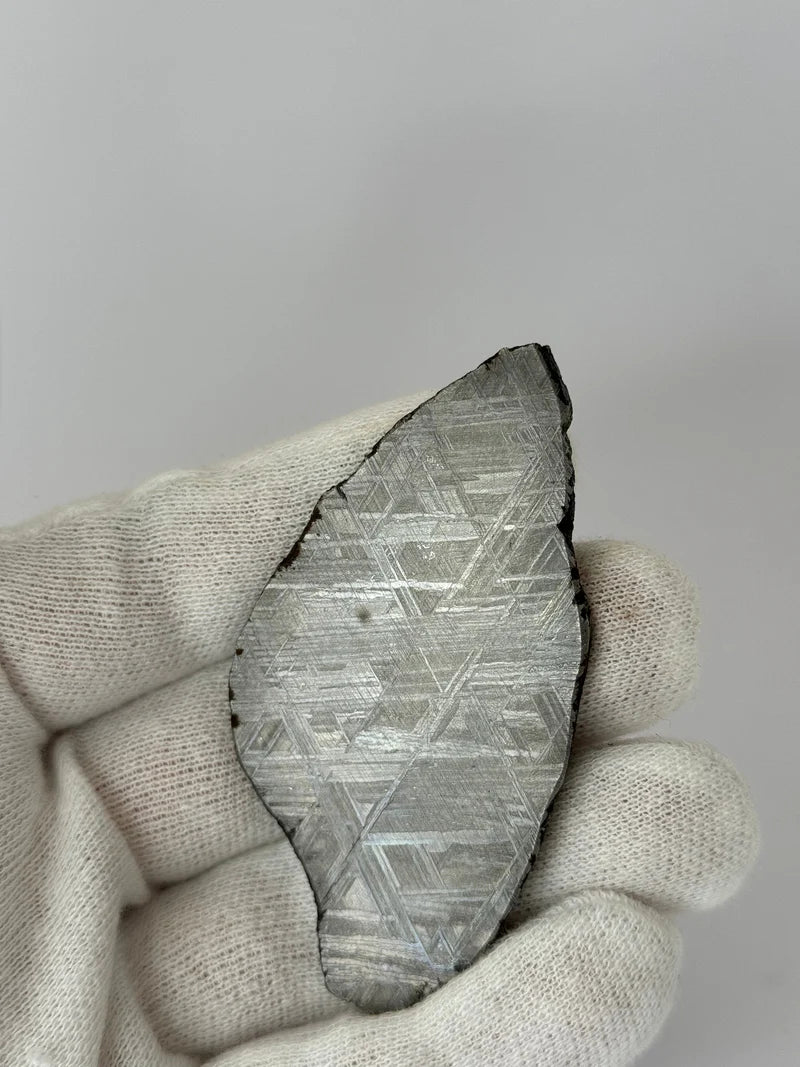 Muonionalusta Meteorite Slice – 69.83g | Sweden