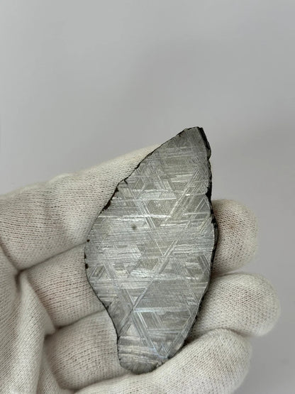 Muonionalusta Meteorite Slice – 69.83g | Sweden