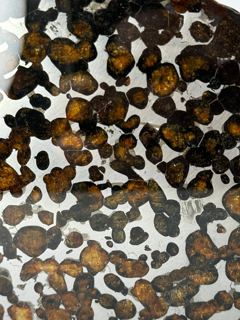 Sericho Meteorite Fragment – 67.42g | Kenya