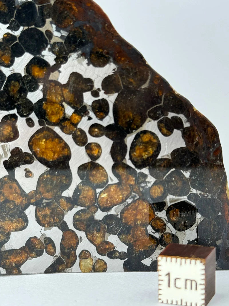 Sericho Meteorite Fragment – 67.42g | Kenya
