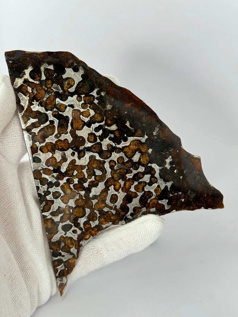 Sericho Meteorite Fragment – 67.42g | Kenya