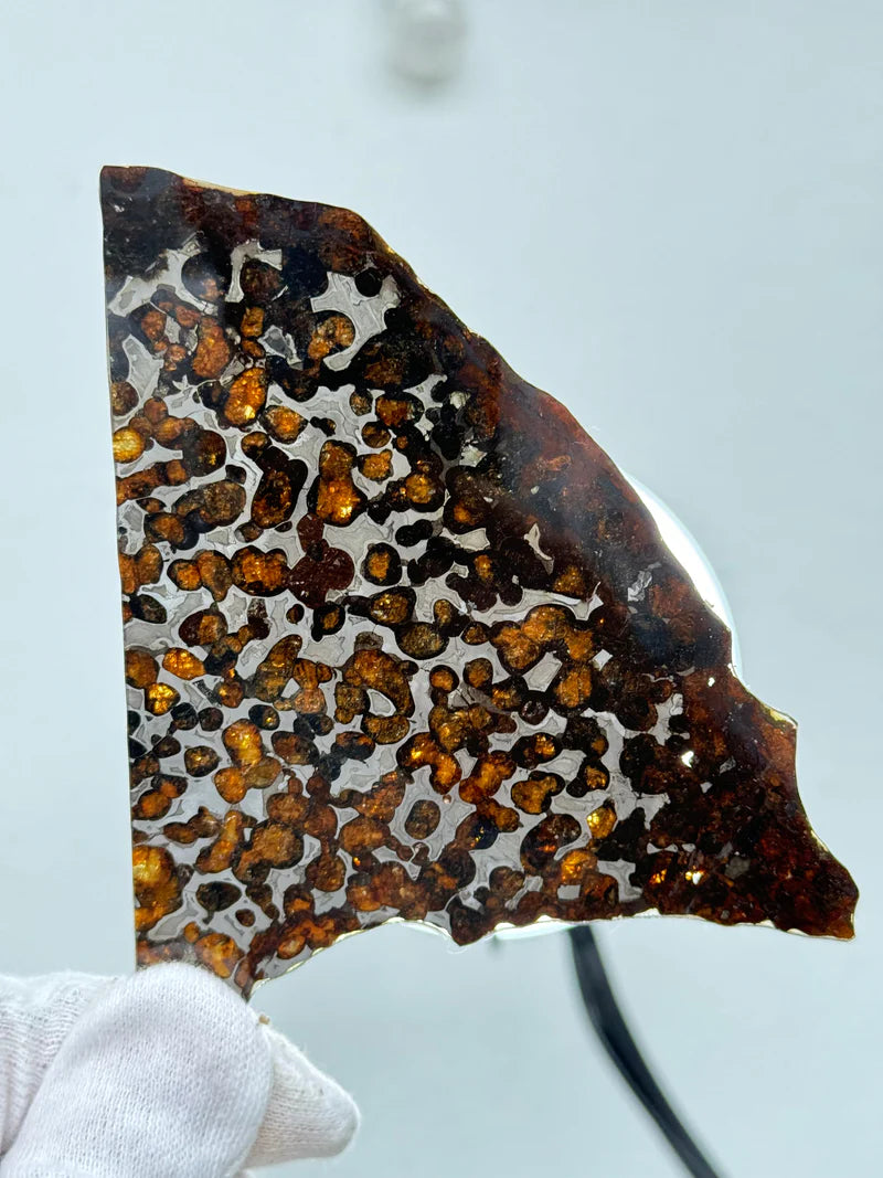 Sericho Meteorite Fragment – 67.42g | Kenya