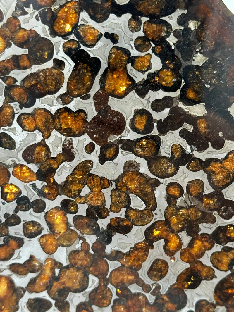 Sericho Meteorite Fragment – 67.42g | Kenya