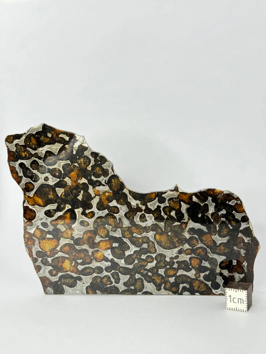 Sericho Meteorite Fragment – 47.66g | Kenya