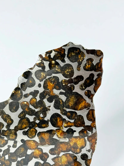 Sericho Meteorite Fragment – 47.66g | Kenya