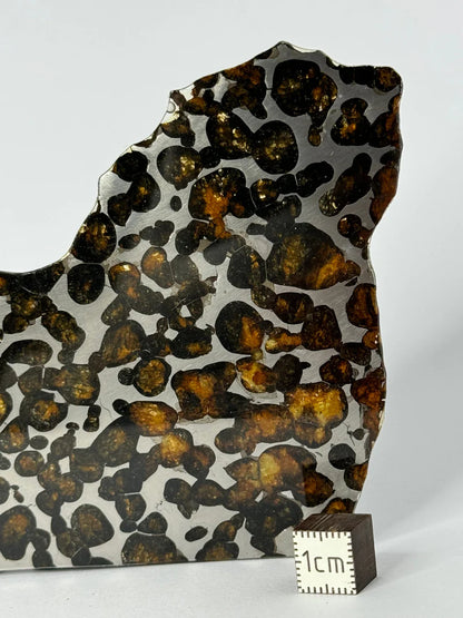 Sericho Meteorite Fragment – 47.66g | Kenya