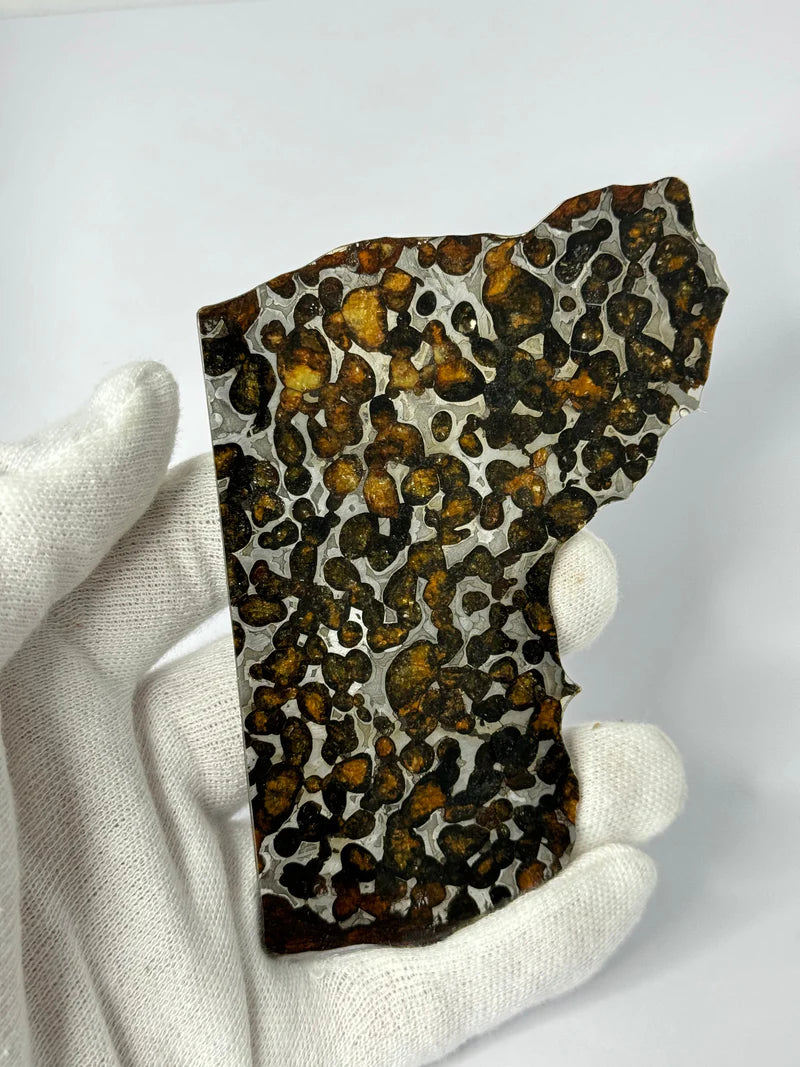Sericho Meteorite Fragment – 47.66g | Kenya