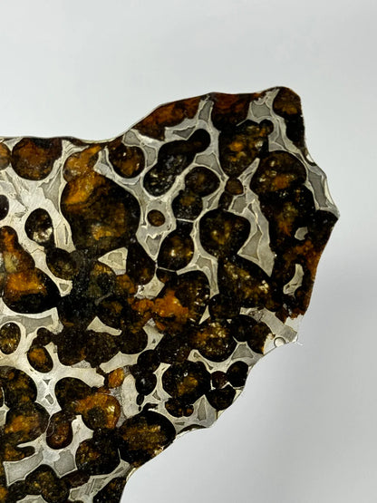 Sericho Meteorite Fragment – 47.66g | Kenya