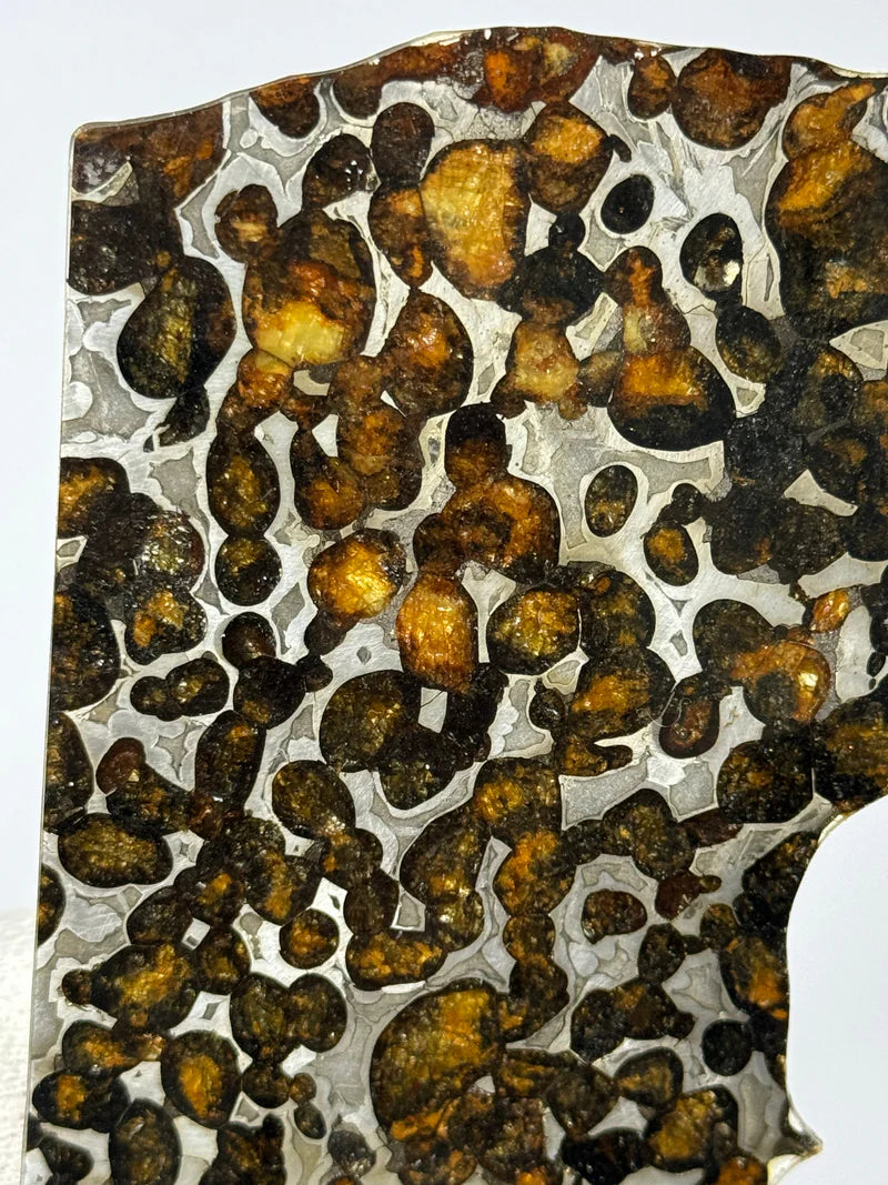 Sericho Meteorite Fragment – 47.66g | Kenya