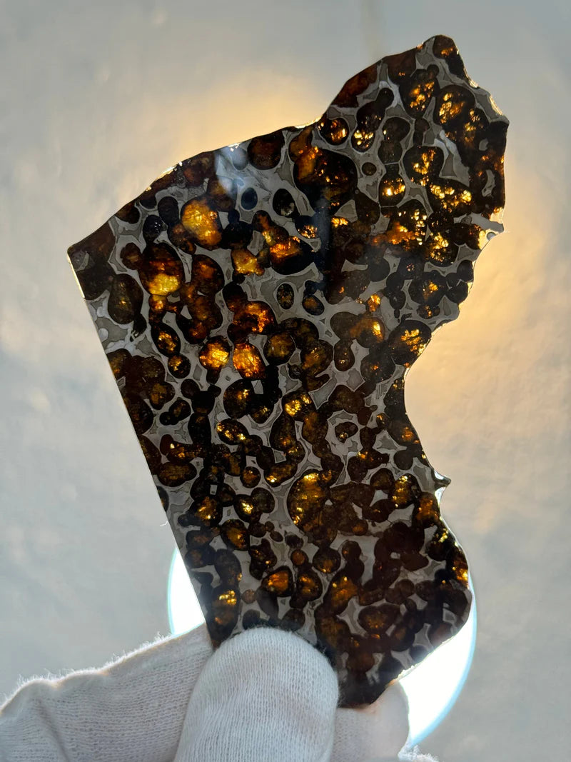 Sericho Meteorite Fragment – 47.66g | Kenya