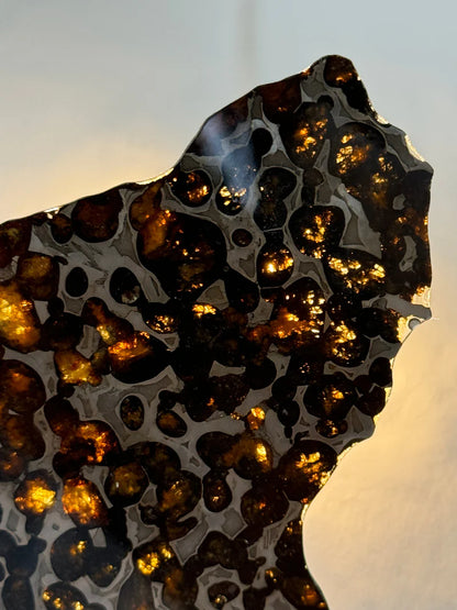 Sericho Meteorite Fragment – 47.66g | Kenya