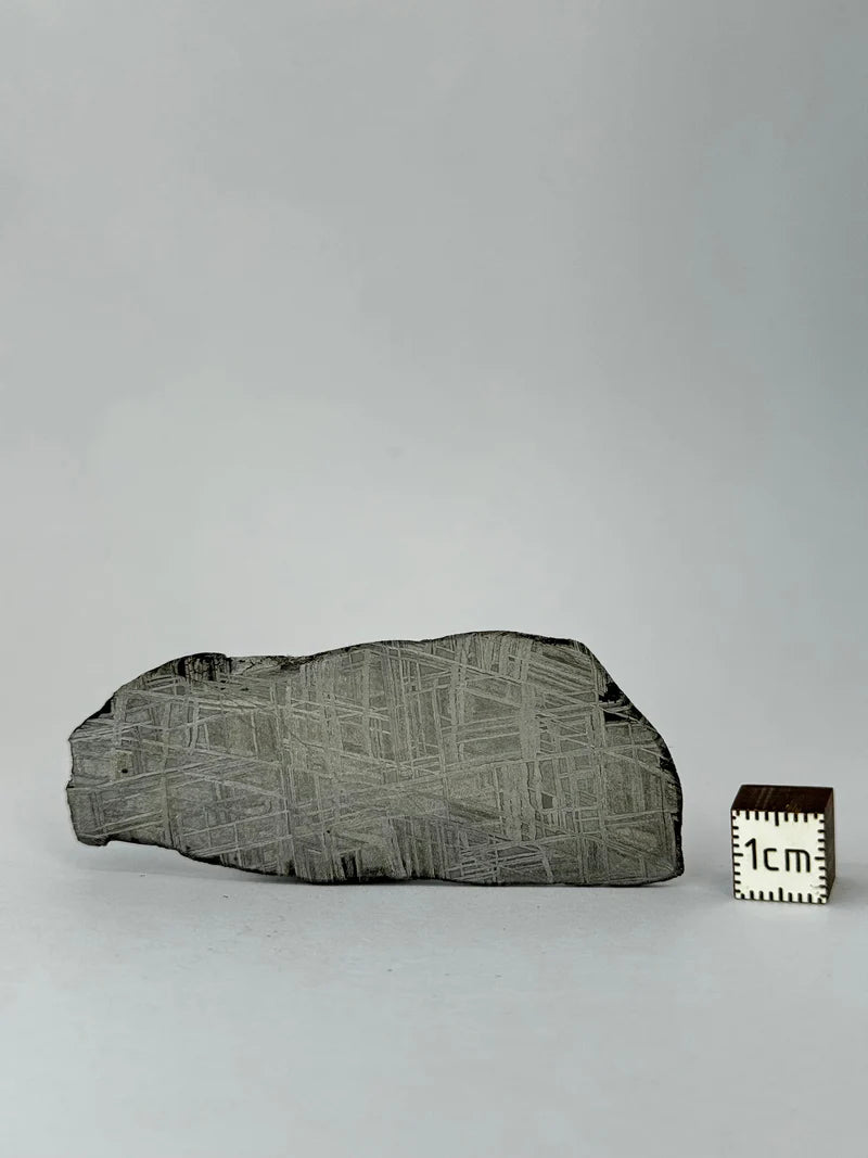 Muonionalusta Meteorite Piece – 32.37g | Sweden