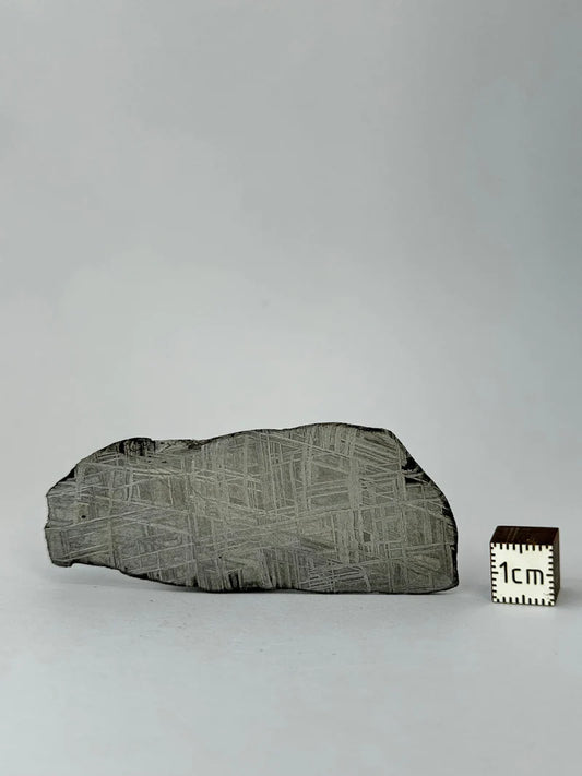 Muonionalusta Meteorite Piece – 32.37g | Sweden