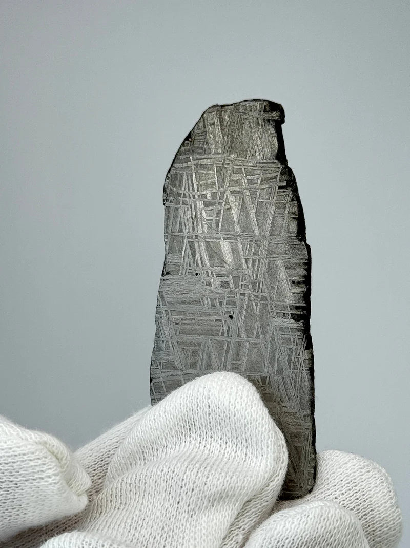 Muonionalusta Meteorite Piece – 32.37g | Sweden