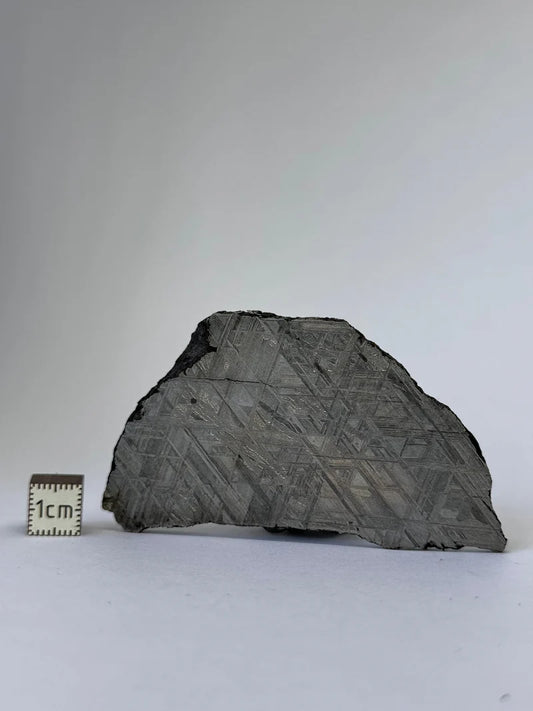 Muonionalusta Meteorite Slice – 65.29g | Sweden