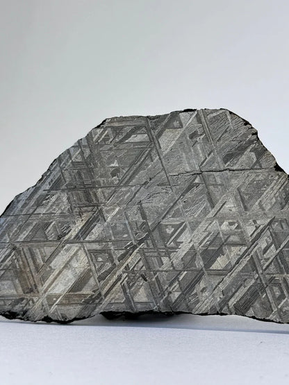 Muonionalusta Meteorite Slice – 65.29g | Sweden