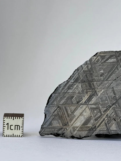 Muonionalusta Meteorite Slice – 65.29g | Sweden