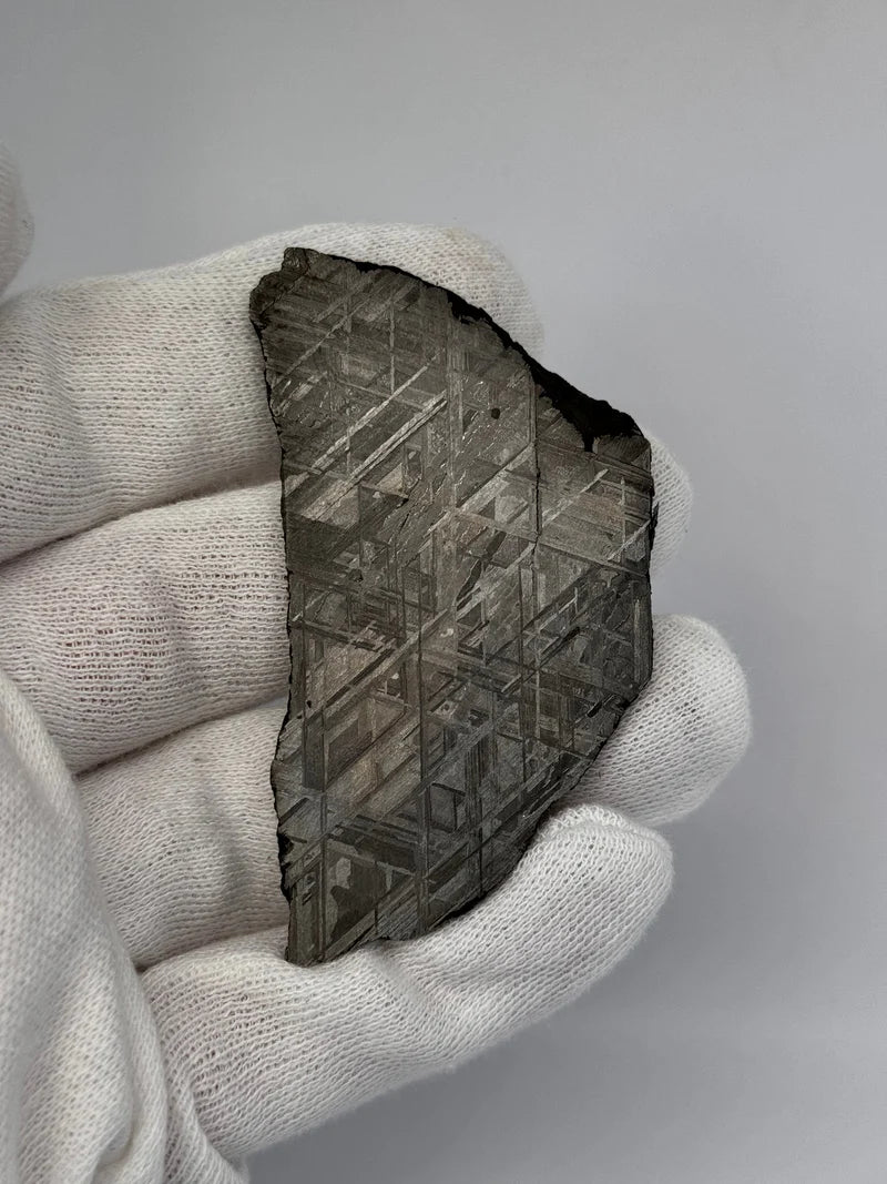 Muonionalusta Meteorite Slice – 65.29g | Sweden