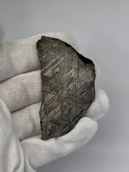 Muonionalusta Meteorite Slice – 65.29g | Sweden