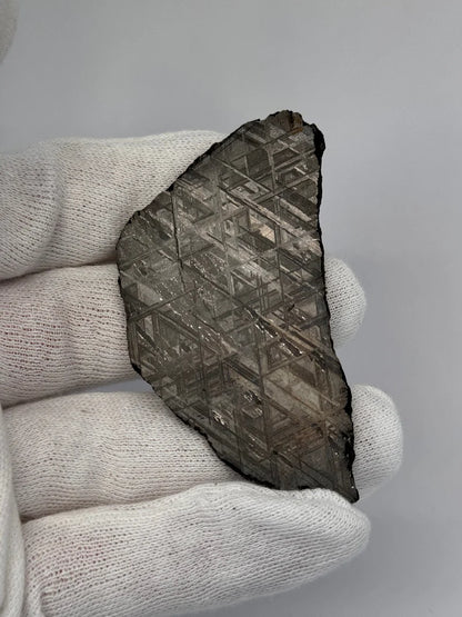 Muonionalusta Meteorite Slice – 65.29g | Sweden