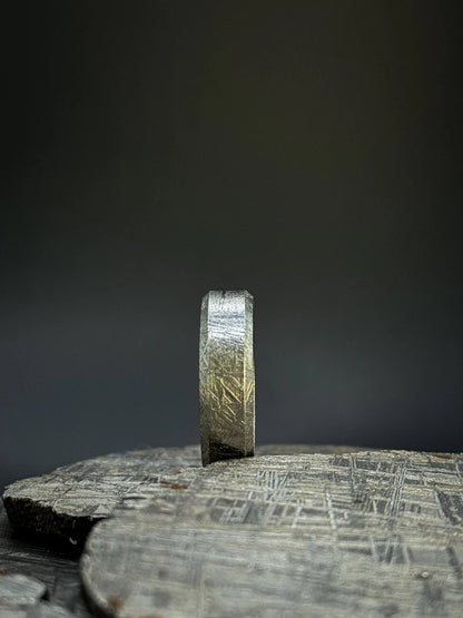 Flat Solid Muonionalusta Meteorite Ring