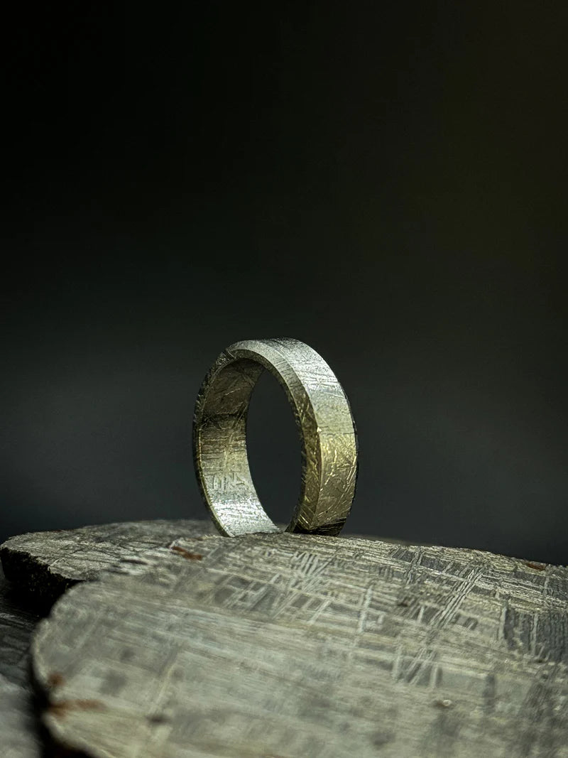 Flat Solid Muonionalusta Meteorite Ring