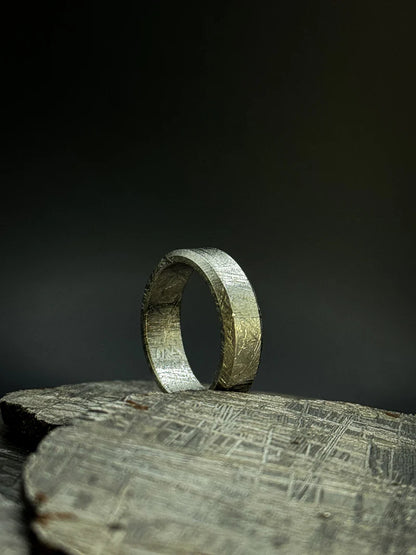Flat Solid Muonionalusta Meteorite Ring