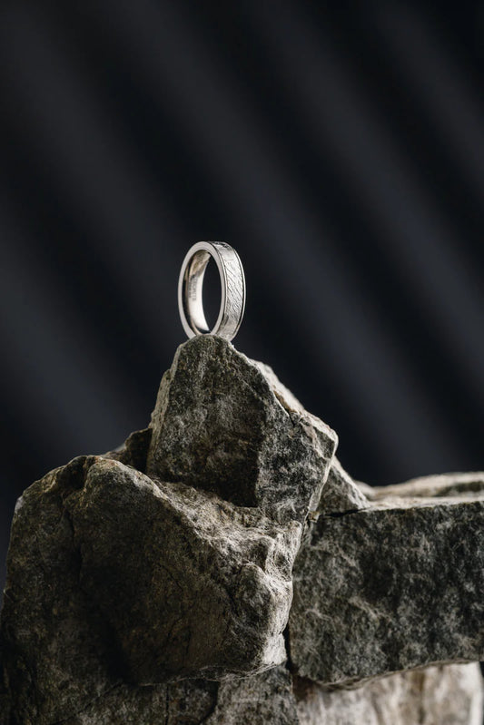 Titanium Accent Ring with Muonionalusta Meteorite