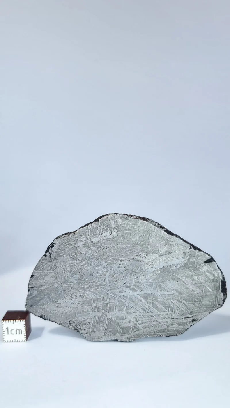 Muonionalusta Meteorite Slice – 76.99g | Sweden