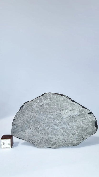 Muonionalusta Meteorite Slice – 76.99g | Sweden