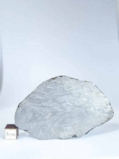 Muonionalusta Meteorite Slice – 76.99g | Sweden
