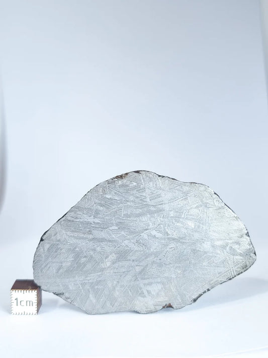 Muonionalusta Meteorite Slice – 76.99g | Sweden