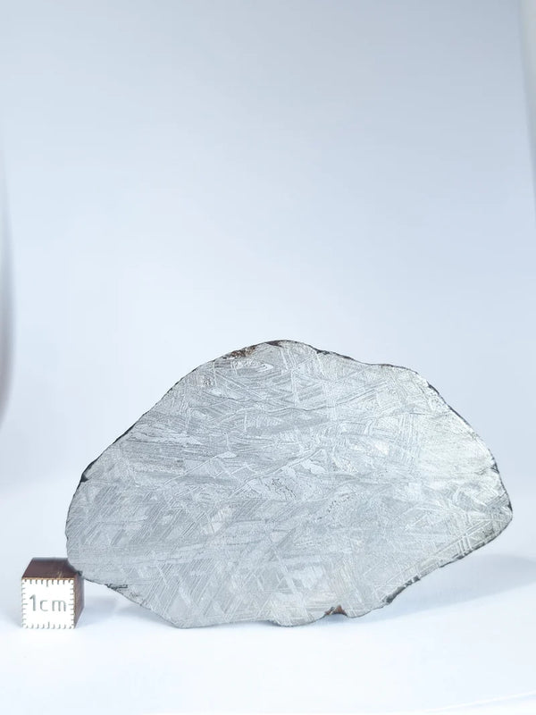 Muonionalusta Meteorite Slice – 76.99g | Sweden