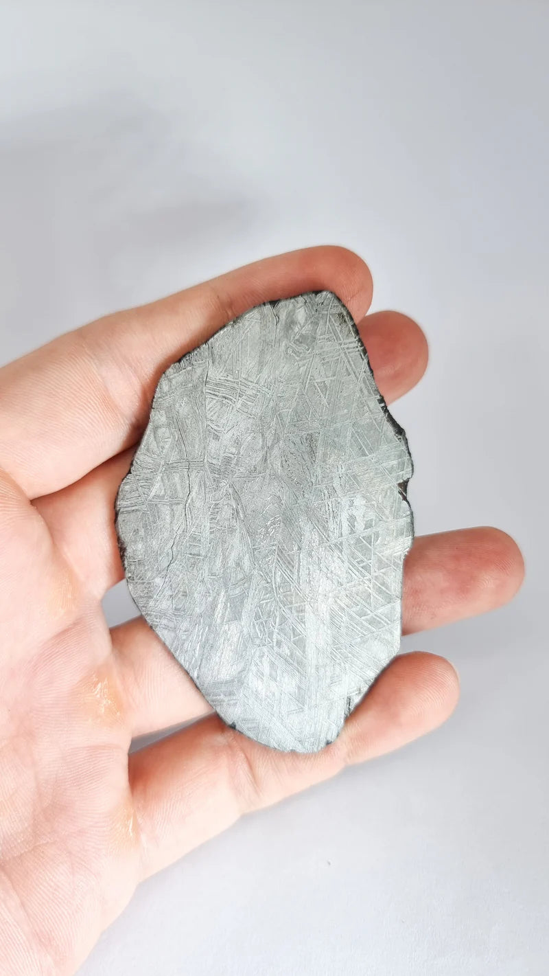 Muonionalusta Meteorite Slice – 76.99g | Sweden